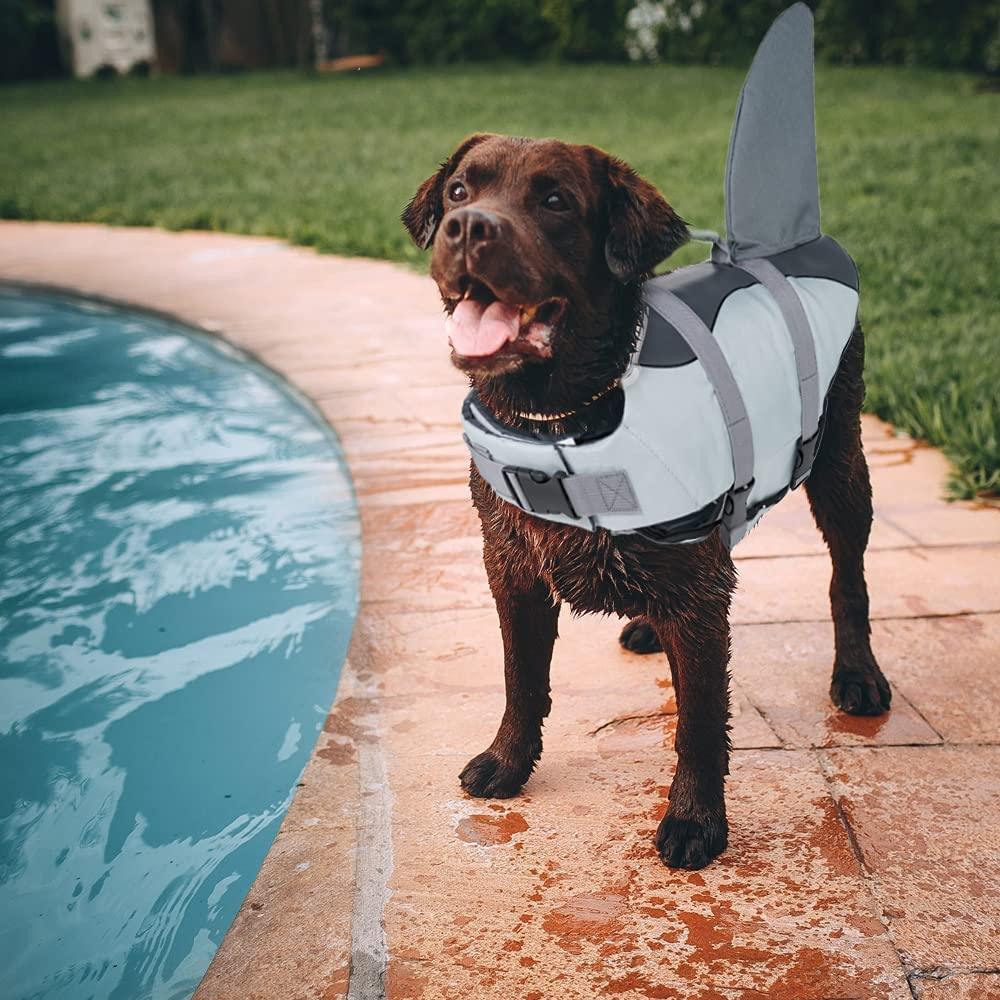 Dog swimming harness best sale